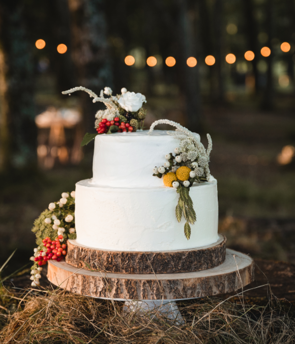 Outdoor cake_600x700